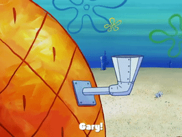 season 4 episode 3 GIF by SpongeBob SquarePants