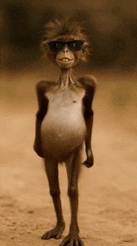 Monkey Trend GIF