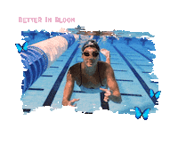 Swimming Pool Sticker by SwimOutlet