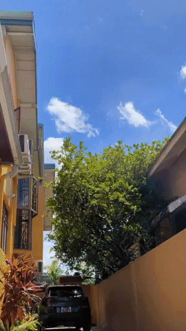 mikhailchugunov giphyupload GIF