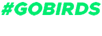 ninho-digital birds marketingdigital ninho gobirds Sticker