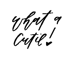 Cutie Calligraphy Sticker by four things paper