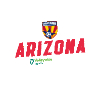 azyouthsoccer  Sticker