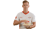 Excited Football Sticker by RB Leipzig