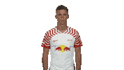 Rb Leipzig Smile Sticker by Bundesliga