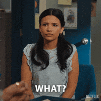 Sarahrafferty GIF by NETFLIX