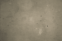 hollmanninternational wall new offer hollmann hollmann international GIF