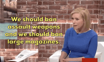 Kirsten Gillibrand Gun Control GIF