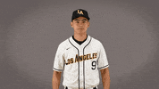Baseball Calstatela GIF by Cal State LA Golden Eagles
