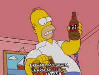 homer simpson episode 6 GIF