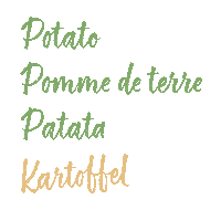 deinpotsdam potato brandenburg potsdam patata Sticker