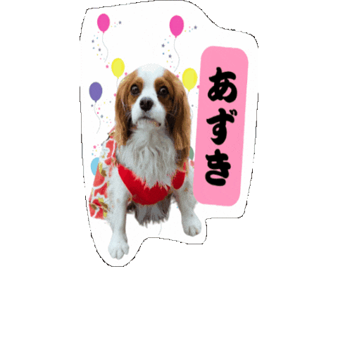Cavalierkingcharlesspaniel Sticker