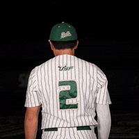 South Florida Baseball GIF by USF Athletics