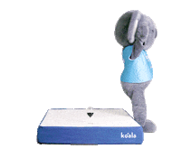 Wine Test Sticker by Koala Mattress