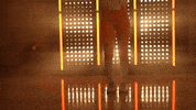 Softball Tennessee GIF by NCAA Championships