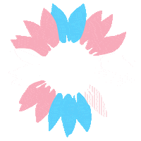 Queer Trans Sticker by Gruene_im_Bundestag