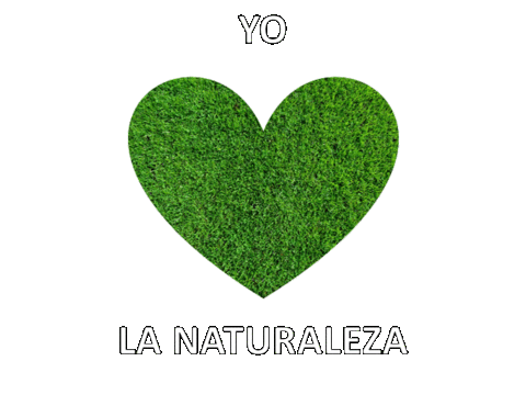 anemonejardineria giphyupload amor corazon verde Sticker