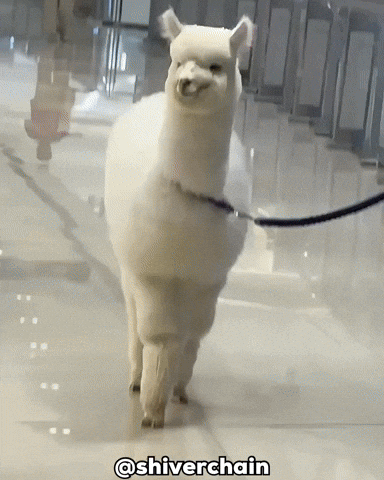 Shopping Falling GIF