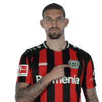 Proud Logo Sticker by Bayer 04 Leverkusen