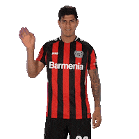 Good Morning Hello Sticker by Bayer 04 Leverkusen