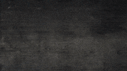 GIF by ragingbully