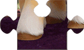 Puzzle Hitch Sticker by My Little Pony