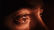 Tony Stark GIF
