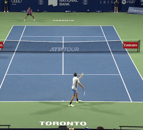 Daniil Medvedev teasing opponent
