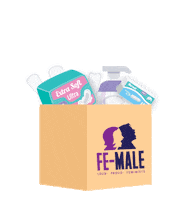 Fe-Male women girls feminism feminist Sticker