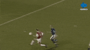 Happy Celebration GIF by MolaTV