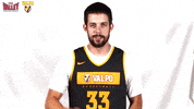 The Valley Mvc GIF by Missouri Valley Conference