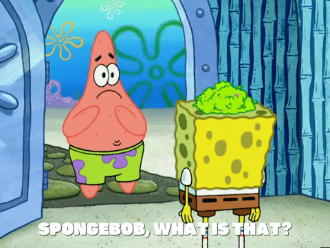 season 5 episode 3 GIF by SpongeBob SquarePants