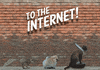 Cat Dog GIF
