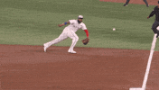 Blue Jays Baseball GIF by Toronto Blue Jays