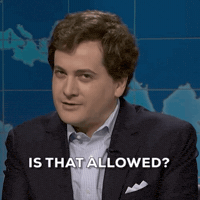 Allow Saturday Night Live GIF