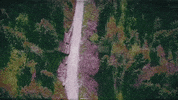 lyric video GIF by Valee