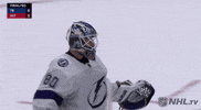 happy ice hockey GIF by NHL