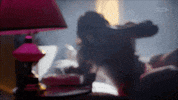 Phone Call Wwe GIF by DARK SIDE OF THE RING