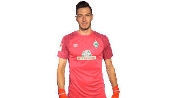Jiri Pavlenka Thumbs Up Sticker by SV Werder Bremen