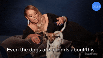 Even The Dogs Are At Odds About This