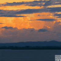 Wildlife Madagascar GIF by BBC America