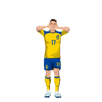 World Cup Football Sticker by Panini America
