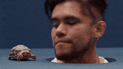 GIF by A R I Z O N A
