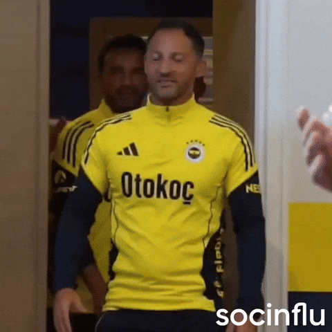 Tedesco GIF by Socinflu