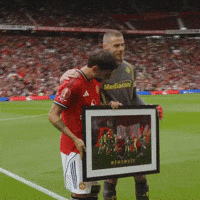 Old Trafford David GIF by Manchester United