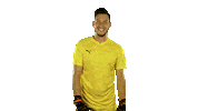 Gesture Ceskarepre Sticker by 2score