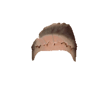 Arjen Lubach Avondshow Sticker by VPRO