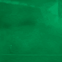 College Football GIF by GoDucks