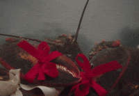 Were Good GIF by Dua Lipa