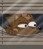 Money Oops GIF by HegeCoin